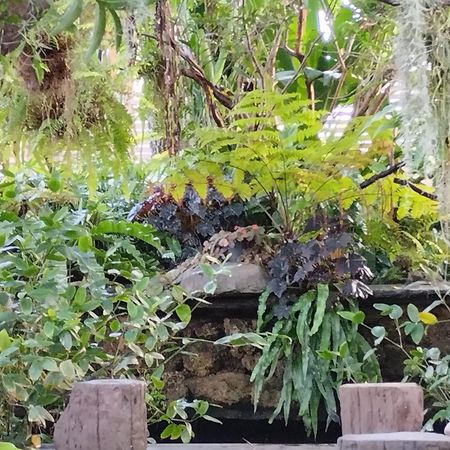 Sareeviengping Hotel Chiangmai チエンマイ エクステリア 写真