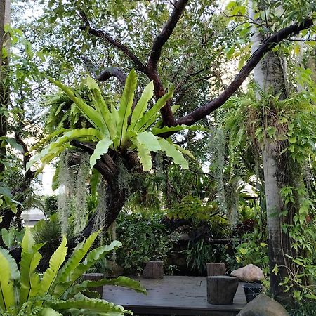 Sareeviengping Hotel Chiangmai チエンマイ エクステリア 写真