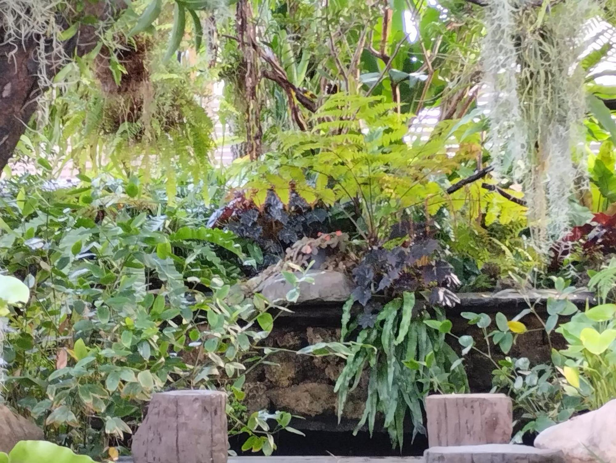 Sareeviengping Hotel Chiangmai チエンマイ エクステリア 写真