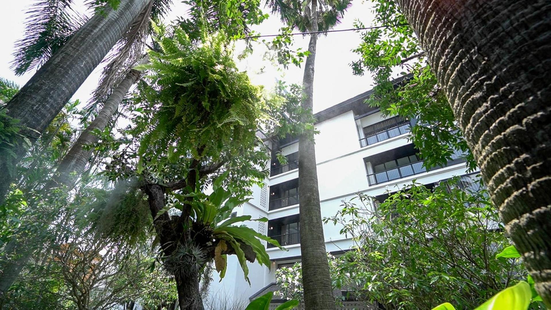 Sareeviengping Hotel Chiangmai チエンマイ エクステリア 写真